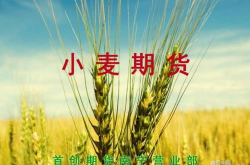 期货小麦,期货小麦市场动态与投资策略解析