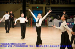 国标舞分类,国标舞分类概述