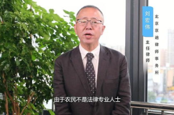 农村土地律师,农村土地权益保护与法律实务解析