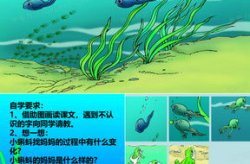 小蝌蚪找妈妈课件,探索与发现的绘本故事