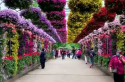 国际鲜花网,引领全球鲜花速递新潮流
