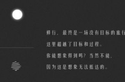 柴叔seo,揭秘高效SEO策略与实战技巧